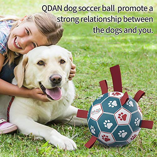 QDAN Dog Toys Soccer Ball, Interactive Dog Toys for Tug of War, Puppy Birthday Gifts,Dog Tug Toy, Dog Water Toy, Durable Dog Balls for Small & Medium Dogs-Blue&Red(6 inch)