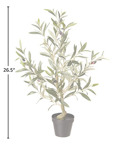 Amazon Brand - Stone & Beam Artificial Olive Tree with Plastic Nursery Pot, 2.2 Feet (26.5 Inches) / Small, Indoor