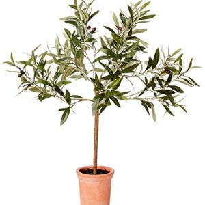 Amazon Brand - Stone & Beam Artificial Olive Tree Topiary with Faux Terracotta Pot, 2.4 Feet (28.8 Inches), Indoor