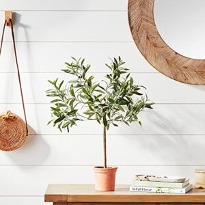 Amazon Brand - Stone & Beam Artificial Olive Tree Topiary with Faux Terracotta Pot, 2.4 Feet (28.8 Inches), Indoor