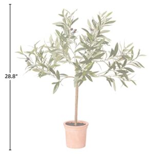 Amazon Brand - Stone & Beam Artificial Olive Tree Topiary with Faux Terracotta Pot, 2.4 Feet (28.8 Inches), Indoor