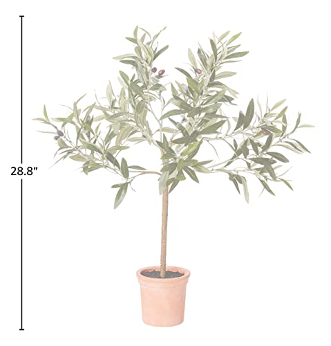 Amazon Brand - Stone & Beam Artificial Olive Tree Topiary with Faux Terracotta Pot, 2.4 Feet (28.8 Inches), Indoor