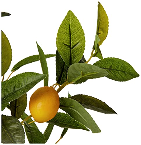 Amazon Brand - Stone & Beam Artificial Lemon Citrus Tree with Ceramic Pot, 2 Feet (24 Inches), Indoor