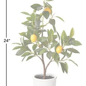 Amazon Brand - Stone & Beam Artificial Lemon Citrus Tree with Ceramic Pot, 2 Feet (24 Inches), Indoor