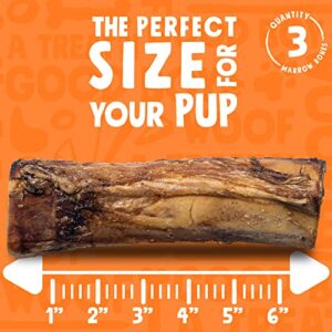 Jolly Barks Marrow Bones for Dogs 6-Inch Premium Natural Single Ingredient Odor Free Large Dog Bones - Grass Fed, Non-GMO Long Lasting Dog Bones, Dog Bones for Medium Dogs (3-Pack)