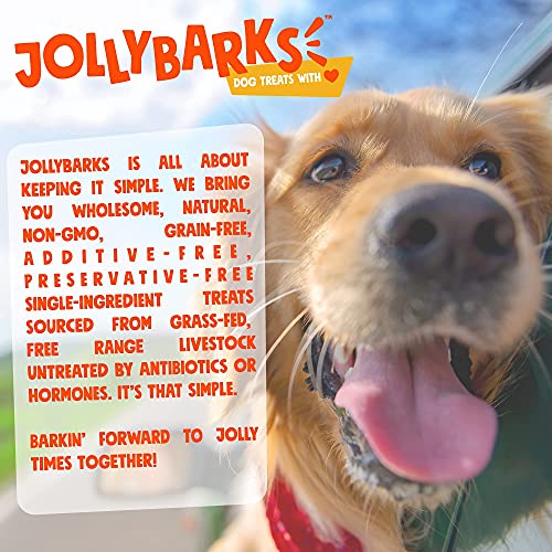 Jolly Barks Marrow Bones for Dogs 6-Inch Premium Natural Single Ingredient Odor Free Large Dog Bones - Grass Fed, Non-GMO Long Lasting Dog Bones, Dog Bones for Medium Dogs (3-Pack)