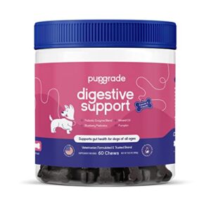 pupgrade digestive support chews for dogs - upset stomach, diarrhea, bowel, & immune support - supplement with probiotics, prebiotics, enzymes - pumpkin, blueberry, mineral oil - 60 soft chews