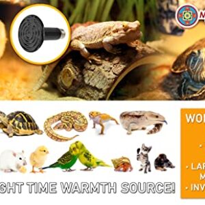 Mandala Crafts Heat Lamp for Reptiles - Ceramic Heat Emitter Infrared Light Bulb with No Light for Chicken Coop Turtle Bearded Dragon Dog Pet Brooder 100W Pack of 2 Black