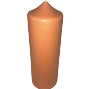 BearNaturalOrganicsPure Natural Beeswax Pillar Candle Terracotta Colored 2.25 inch x 7.25inch