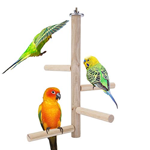 Mogoko Parakeet Perch Bird Natural Wood Stand,Parrot Cage Top Wooden Branches Standing Toys for Small Medium Parrots Conure Budgie Lovebirds