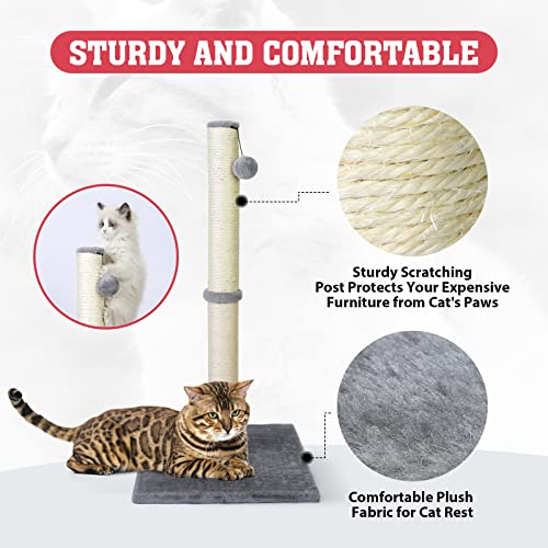 petellow 31'' Tall Cat Scratching Post - Cat Claw Scratcher with Hanging Ball - Scratching Posts for Indoor Large Cats - Durable Stable Cat Furniture with Sisal Rope - Cat Scratch Post-Grey