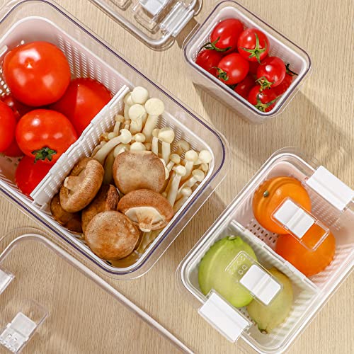 Fruit Storage Containers for Fridge, 3 Pack Produce Saver Containers 10 Pack BPA FREE Reusable Freezer Bags, Vegetable Fruit Container Storage Reusable Lunch Bag for Meat Fruit
