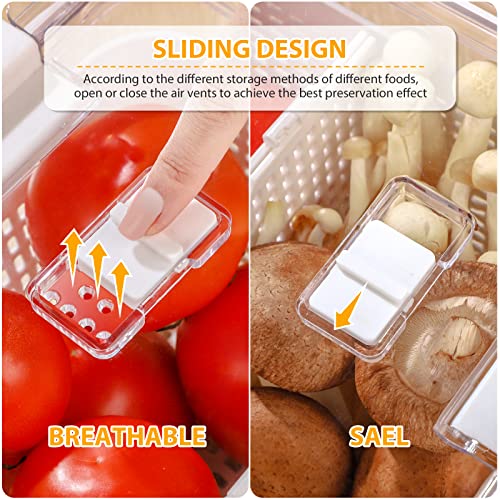 Fruit Storage Containers for Fridge, 3 Pack Produce Saver Containers 10 Pack BPA FREE Reusable Freezer Bags, Vegetable Fruit Container Storage Reusable Lunch Bag for Meat Fruit