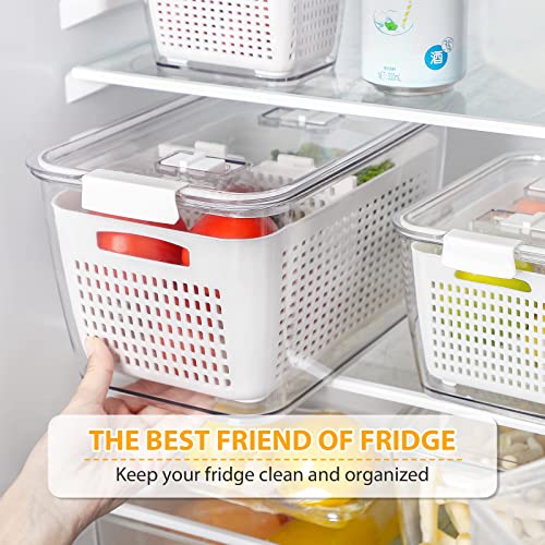 Fruit Storage Containers for Fridge, 3 Pack Produce Saver Containers 10 Pack BPA FREE Reusable Freezer Bags, Vegetable Fruit Container Storage Reusable Lunch Bag for Meat Fruit