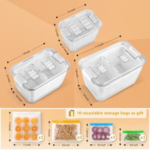 Fruit Storage Containers for Fridge, 3 Pack Produce Saver Containers 10 Pack BPA FREE Reusable Freezer Bags, Vegetable Fruit Container Storage Reusable Lunch Bag for Meat Fruit