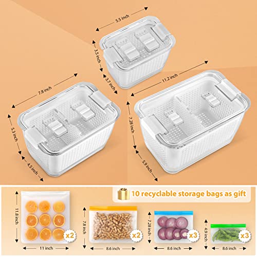 Fruit Storage Containers for Fridge, 3 Pack Produce Saver Containers 10 Pack BPA FREE Reusable Freezer Bags, Vegetable Fruit Container Storage Reusable Lunch Bag for Meat Fruit