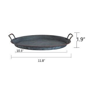 Funerom Industrial Style Metal Iron Tray,Black Galvanized Tin Color (11.8 inch)