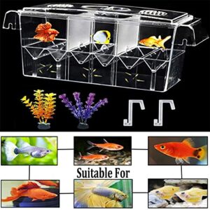 PINVNBY Fish Breeding Box Aquarium Acrylic Fish Isolation Breeder Box Acclimation Hatchery Incubator Box with Suction Cups for Baby Fishes Shrimp Clownfish Aggressive Fish and Guppy