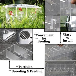 PINVNBY Fish Breeding Box Aquarium Acrylic Fish Isolation Breeder Box Acclimation Hatchery Incubator Box with Suction Cups for Baby Fishes Shrimp Clownfish Aggressive Fish and Guppy