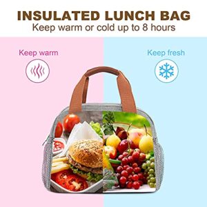 Lunch Bag for Women Insulated Lunch Box with Pockets Durable and Small Lunch Tote Bag for Work, School and Picnic (gray)