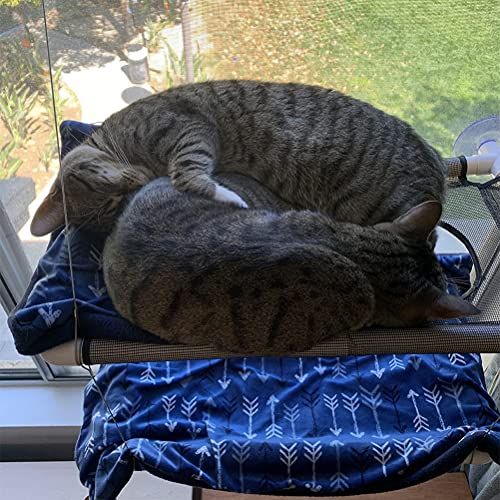 Cat Window Perches Deluxe Double Layers, Free Soft Lamb's Fleece Blanket and Toys, Up to 55 lbs, Space-Saving Cat Bed, Pet Kitty Resting Seat Safety Cat Hammock for Large Cats, Full 360° Sunbathing