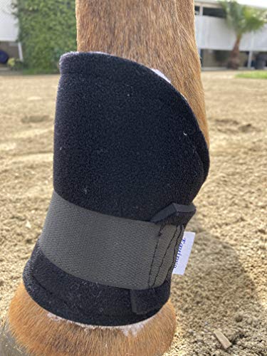 Horse Bedsore Boots with Soft Synthetic Sheepskin Lining, Providing Comfort and Protection Against Pressure sores. Aids in Healing. Veterinarian Approved.