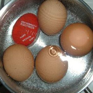 Norpro Egg Perfect Egg Timer