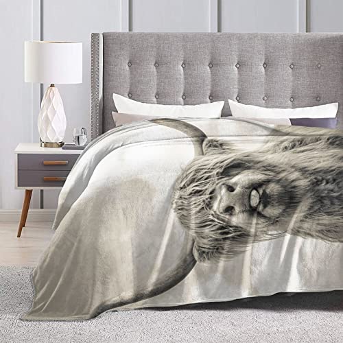 Highland Cow Blanket Cattle Cow Portrait Flannel Throw Blanket for Living Room Couch Bed Sofa Kids Adults All Seasons 50"x40"