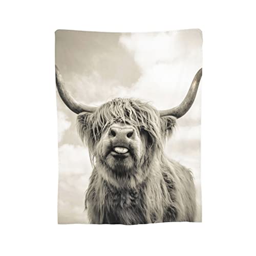 Highland Cow Blanket Cattle Cow Portrait Flannel Throw Blanket for Living Room Couch Bed Sofa Kids Adults All Seasons 50"x40"