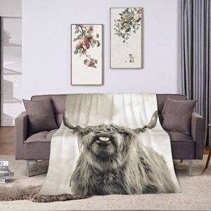 Highland Cow Blanket Cattle Cow Portrait Flannel Throw Blanket for Living Room Couch Bed Sofa Kids Adults All Seasons 50"x40"
