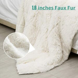 immtree Sherpa Weighted Blanket 20lbs for Adult, Fluffy Long Faux Fur Cozy Shaggy Plush Dual Sided Luxury Fuzzy Heavy Hug Blanket, Soft Bedding Blanket for Bed Sofa Couch 60 x 80 Inches, Cream White