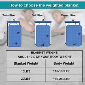 Double Couple Sherpa Fleece Weighted Blanket for Adult 20 lbs 60"x80" Queen Size 160-280 lbs Individuals Extra Fuzzy Throw Blanket Plush Heavy Blanket with Premium Glass Beads for Bed