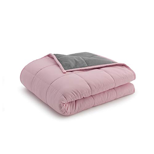 Ella Jayne Home - Reversible Weighted Blanket - Minky Texture/Microfiber - Uses Polyester and Glass Beads for Weight - (48x72, 15lbs)