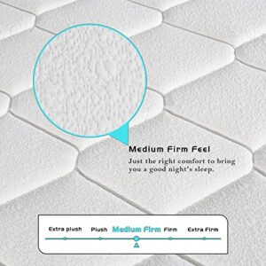 CHEVNI Queen Mattress, 10 inch Hybrid Mattress with Gel Memory Foam,Motion Isolation Individually Wrapped Pocket Coils, Euro Top Design Queen Size Mattresses