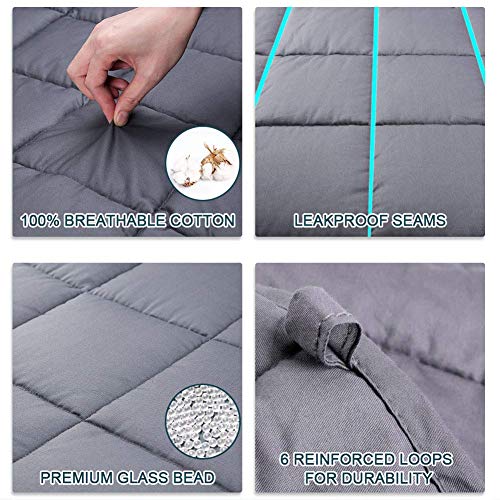 Secura Everyday Luxury Premium Adult Weighted Blanket & Removable Blue Minky Cover & 2 Pillowcases (20 lbs 60 x 80 Queen Size, 100% Cotton Material with Glass Beads)