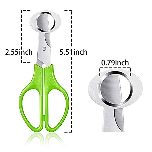 ReNext Pack of 2 Stainless Steel Pigeon Quail Egg Scissor Green