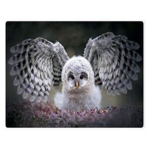 hommomh owl blanket 60"x80" animal print soft fluffy fleece throw,grey