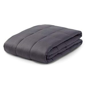 PureCare Zensory 20 lb. Weighted Blanket, Hypoallergenic Glass Beads & Mini Pocket Construction, 48" X 72" (PCZWB20)