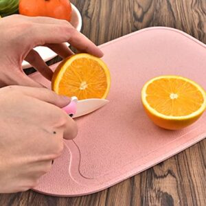 3 Pack Mini Kitchen Cutting Board Set Small Fruit Cutting Board Wheat Straw Plastic Cutting Boards Mats Dishwasher Safe, Juice Grooves, Thicker Boards Easy Grip Handle, Non Porous(13 Inch x 8.5 Inch)