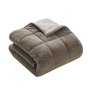 thesis home weighted blanket with premium glass beads for kids and adults - 100% brushed microfiber plush reversible sherpa calming blanket - 10 lbs - 50 x 60, taupe