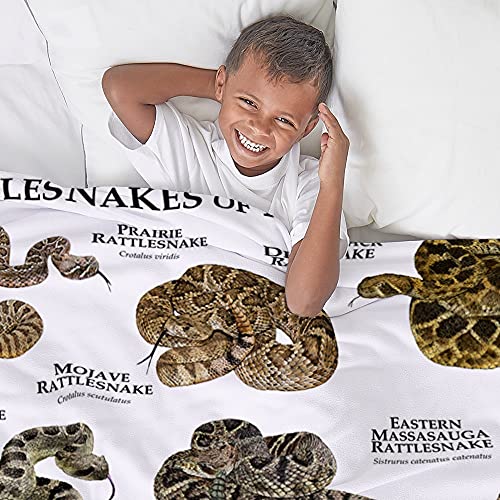 CafePress Rattlesnakes of North America Throw Blanket Super Soft Fleece Plush Throw Blanket, 60"x50"