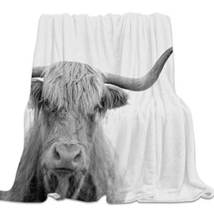 clouday flannel fleece bed blanket soft throw-blankets for sleep,grey animal highland cow pattern,lightweight baby blankets for bedroom living room sofa couch,49x59 inch