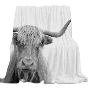 Clouday Flannel Fleece Bed Blanket Soft Throw-Blankets for Sleep,Grey Animal Highland Cow Pattern,Lightweight Baby Blankets for Bedroom Living Room Sofa Couch,49x59 Inch