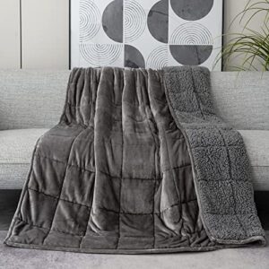 kaisa weighted blanket 15 pounds queen size for adults, sherpa fleece heavy blankets 15lbs, fuzzy hug blankets, flannel sofa bedding throw blanket, idea gifts for adults birthday, 60x80 inches, grey