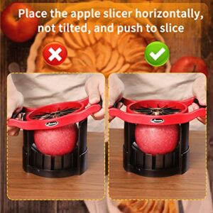 Newness Apple Cutter Slicer, [Large Size] 16 Slices HEAVY DUTY Apple and Pear Corer Divider with Base, [Upgraded] Cut Apples All The Way Through, Stainless Steel Fruits & Vegetables Divider, Wedger