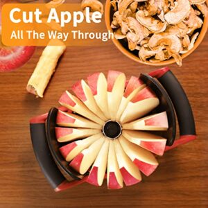 Newness Apple Cutter Slicer, [Large Size] 16 Slices HEAVY DUTY Apple and Pear Corer Divider with Base, [Upgraded] Cut Apples All The Way Through, Stainless Steel Fruits & Vegetables Divider, Wedger