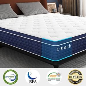 Sdoodo Queen Mattress, 10 Inch Hybrid Mattress with Memory Foam and Individual Pocket Springs, Medium Firm, Mattress in a Box