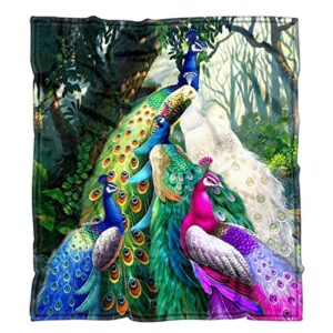 nueasrs peacock blanket 50x60 inches, colorful peacock themed pattern print decor soft cozy throw blanket for kids women adults gift