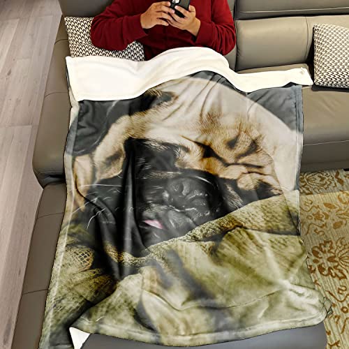 TSlook Blankets Funny Pug Dog Comfy Funny Bed Blanket 60" x 80"