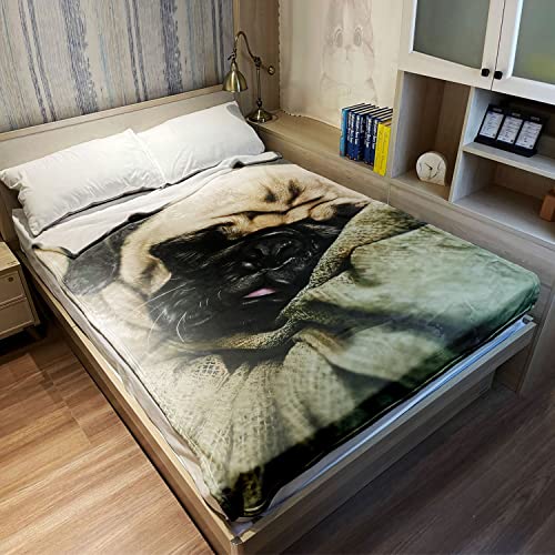 TSlook Blankets Funny Pug Dog Comfy Funny Bed Blanket 60" x 80"